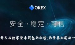 揭开巴西数字货币钱包的秘密：你需要知道的一