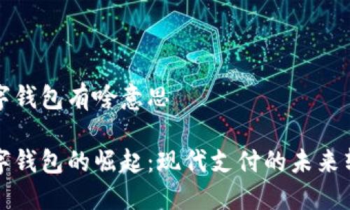数字钱包有啥意思

数字钱包的崛起：现代支付的未来转型