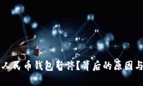 为何数字人民币钱包暂停？背后的原因与未来展望