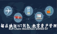 彻底理解区块链NT钱包：数字资产管理的未来