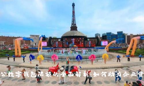 建行对公数字钱包限额的全面解析：如何助力企业资金管理