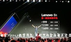 解密Vippay数字钱包：新时代的金融解决方案