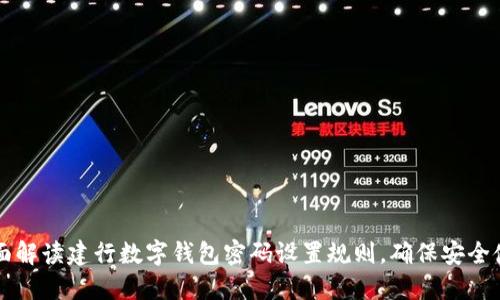 全面解读建行数字钱包密码设置规则，确保安全使用