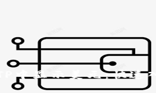 如何在TP中显示美元：快速入门指南