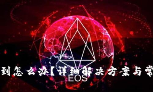 提币到TP没到怎么办？详细解决方案与常见问题解答